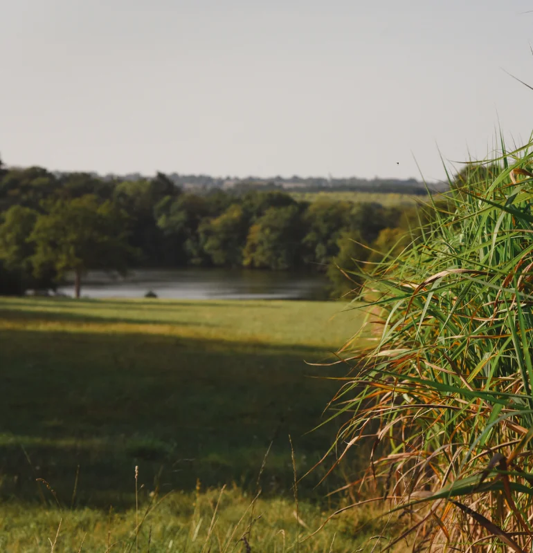 Prairies et bois du domaine de 180 hectares
