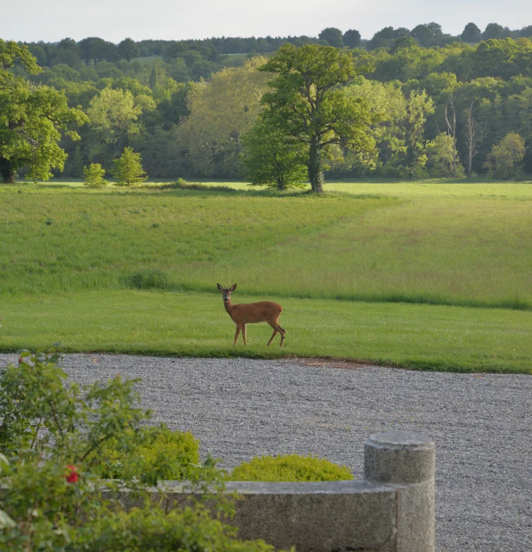 Bocage mayennais autour du Château de la Mazure